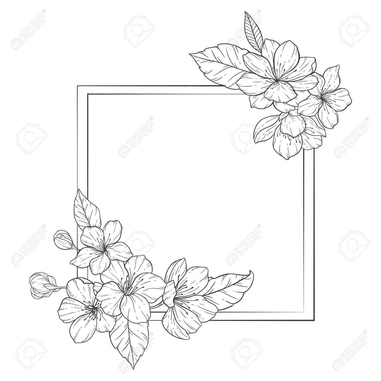 花柄の線画フレーム、桜の花の輪郭イラストセット。双鴨掛軸　Y274。手描きの